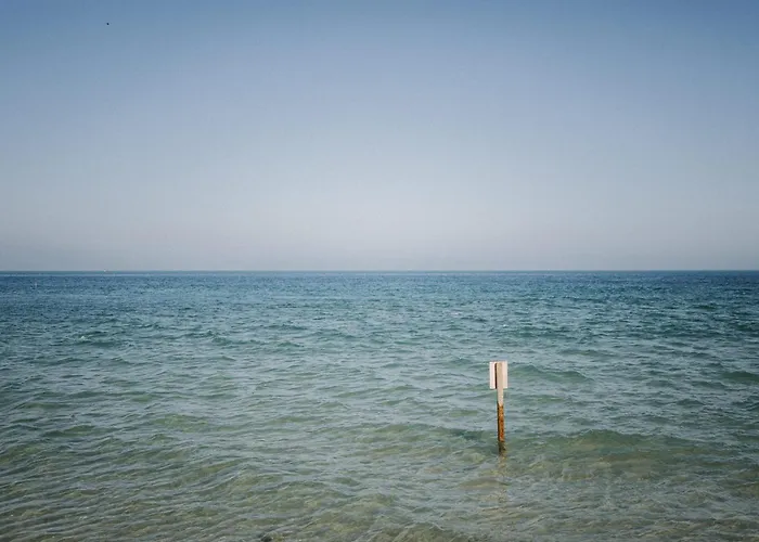La Delphiniere : Bord De Mer, Equipements De Qualite Semesterbostad *